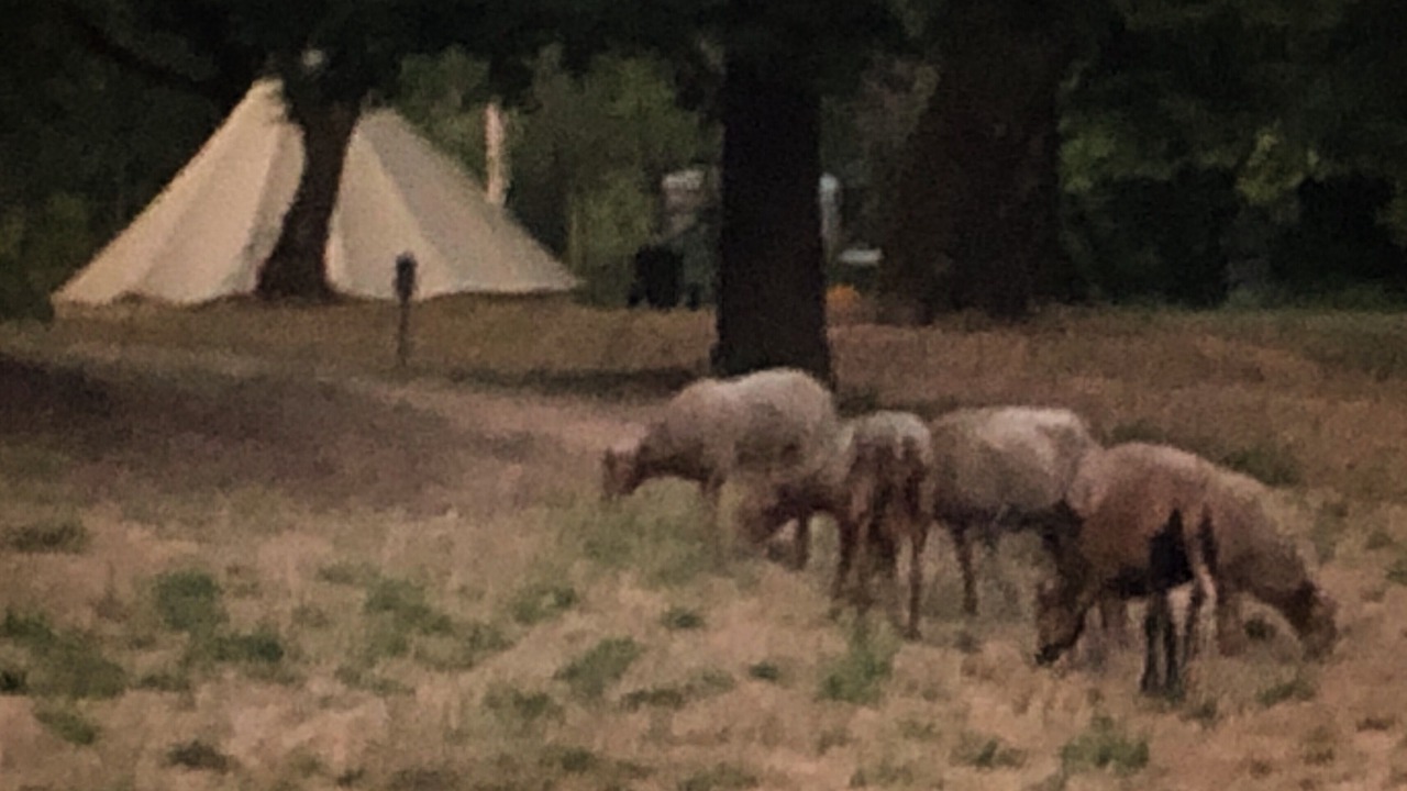 Photo of Outdoor in Mendocino County