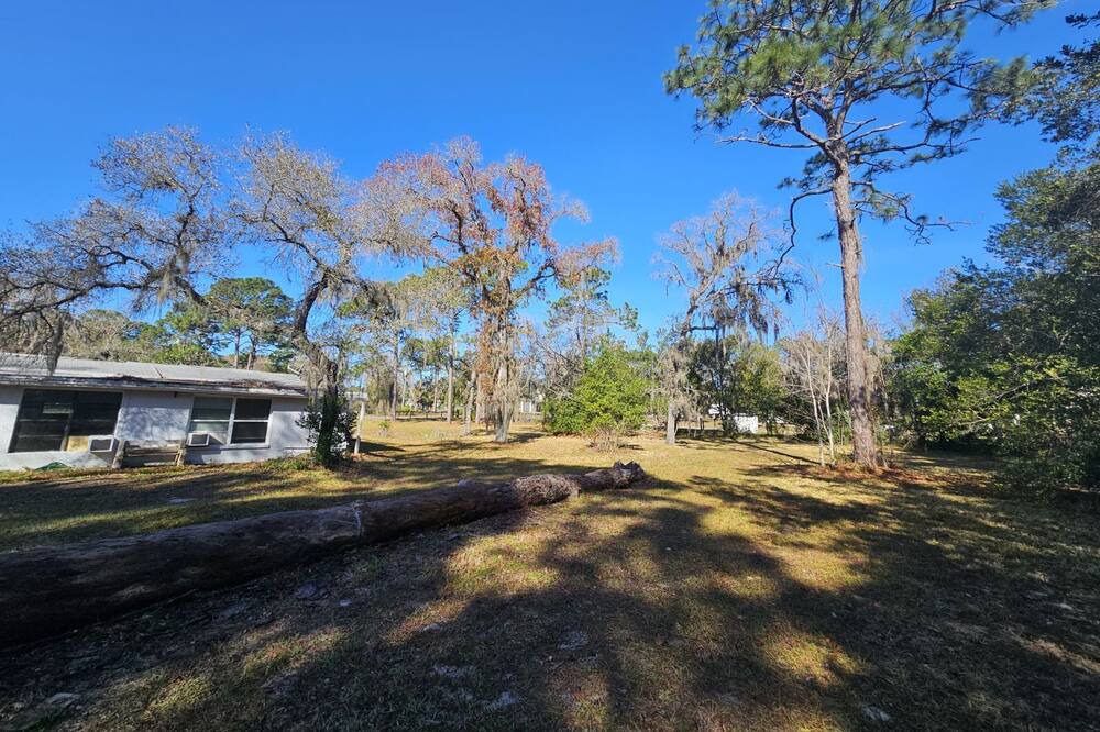 Photo of Outdoor in Homosassa