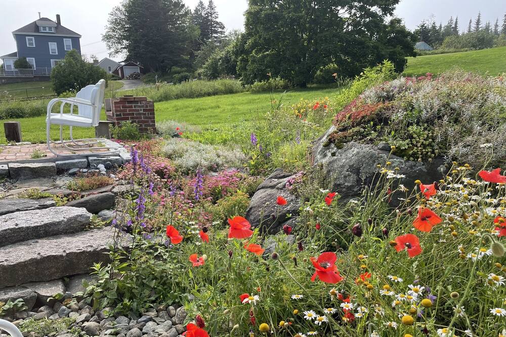 Photo of Outdoor in Jonesport