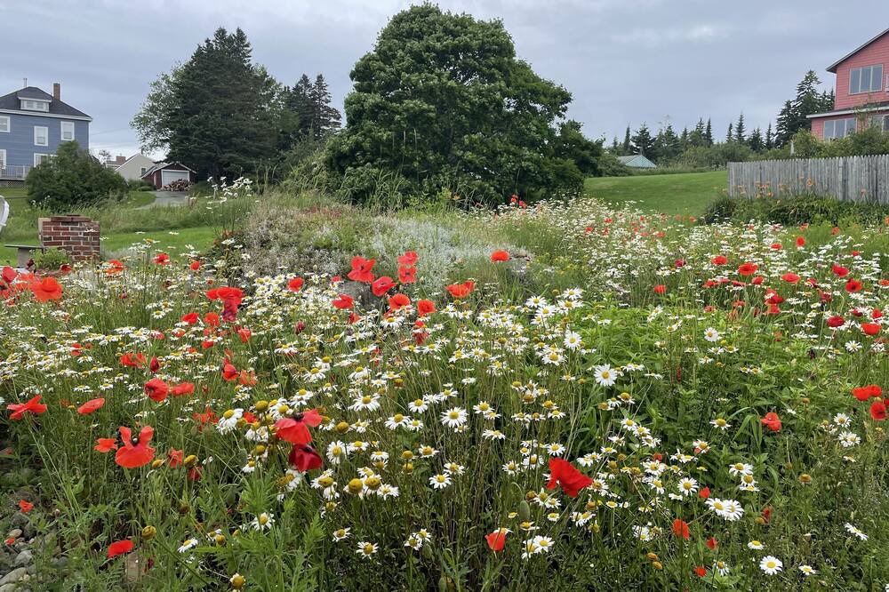 Photo of Others in Jonesport