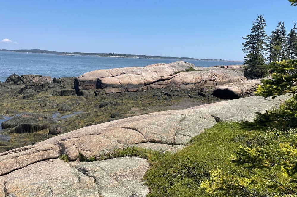 Photo of Others in Jonesport