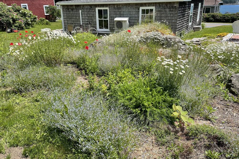 Photo of Others in Jonesport