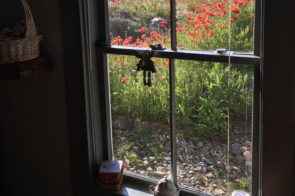 Photo of Others in Jonesport