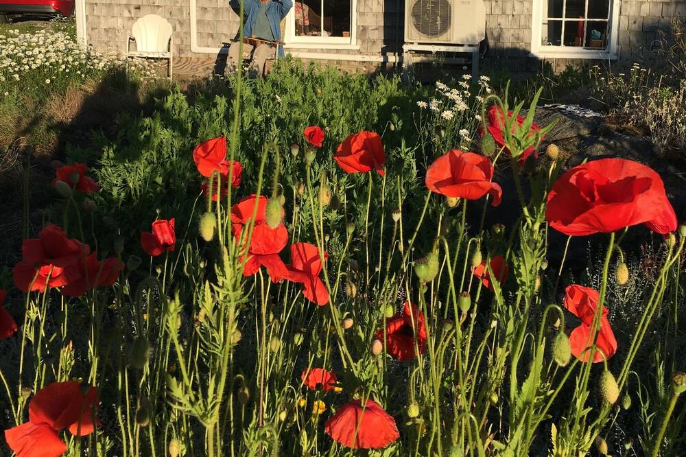 Photo of Outdoor in Jonesport