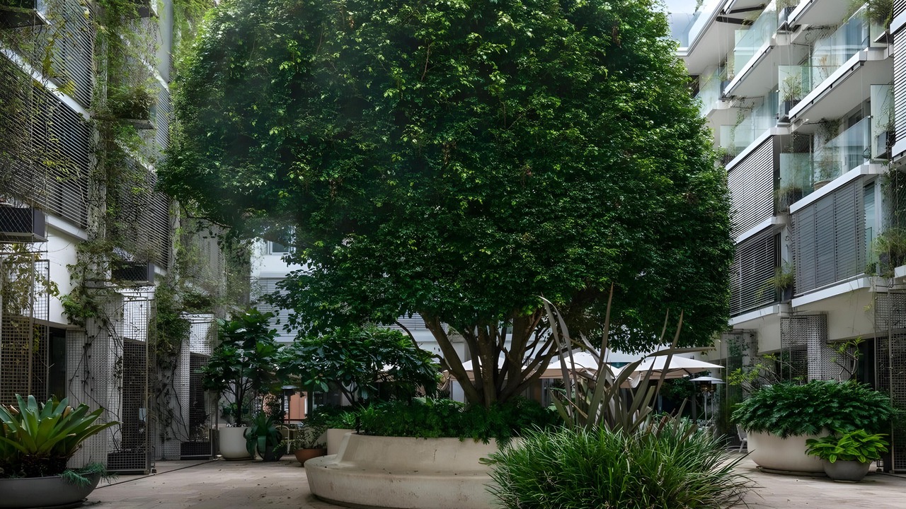 Photo of Outdoor in North Bondi