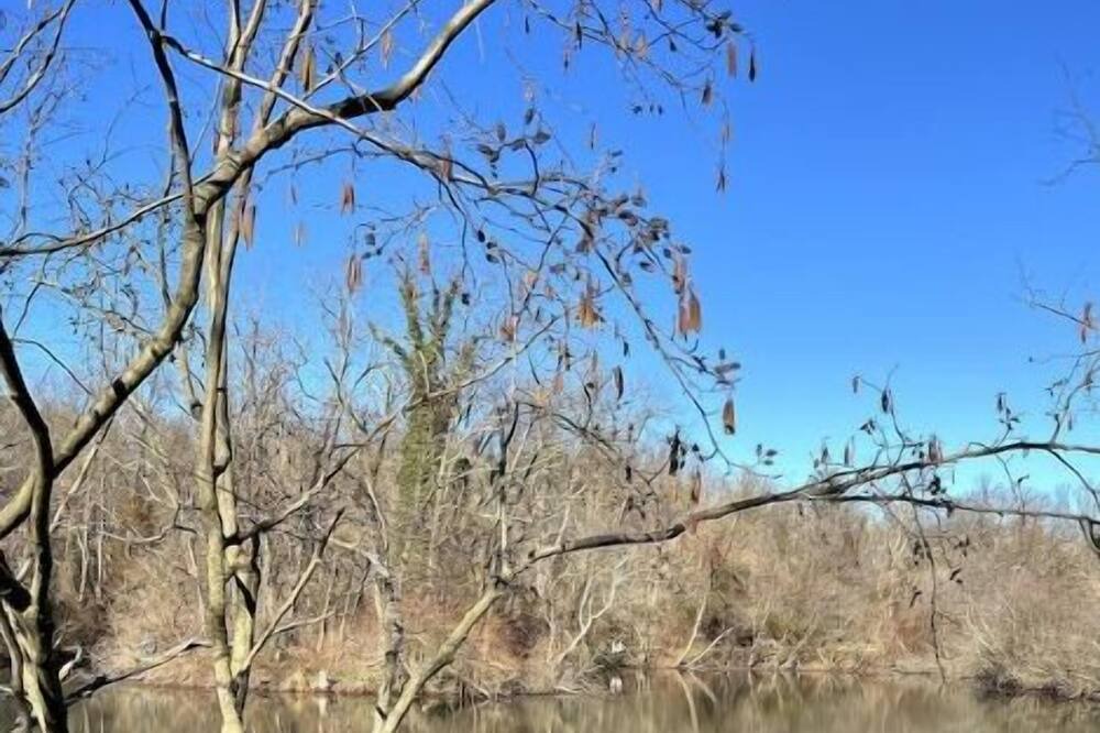 Photo of Others in Princeton