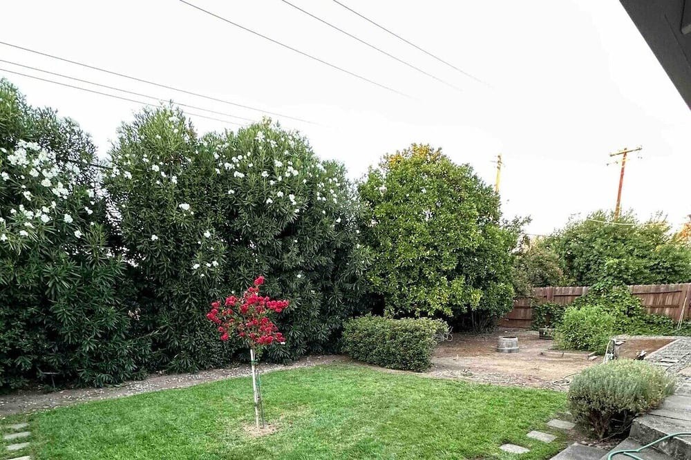 Photo of Outdoor in Carmichael