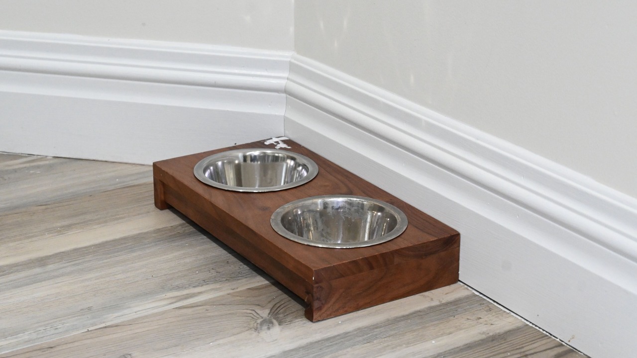 Photo of Others in Wolcott