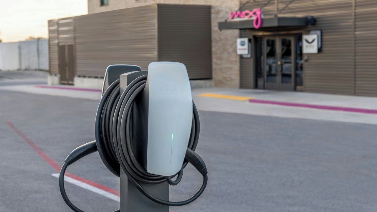 Photo of Others in Downtown Springfield