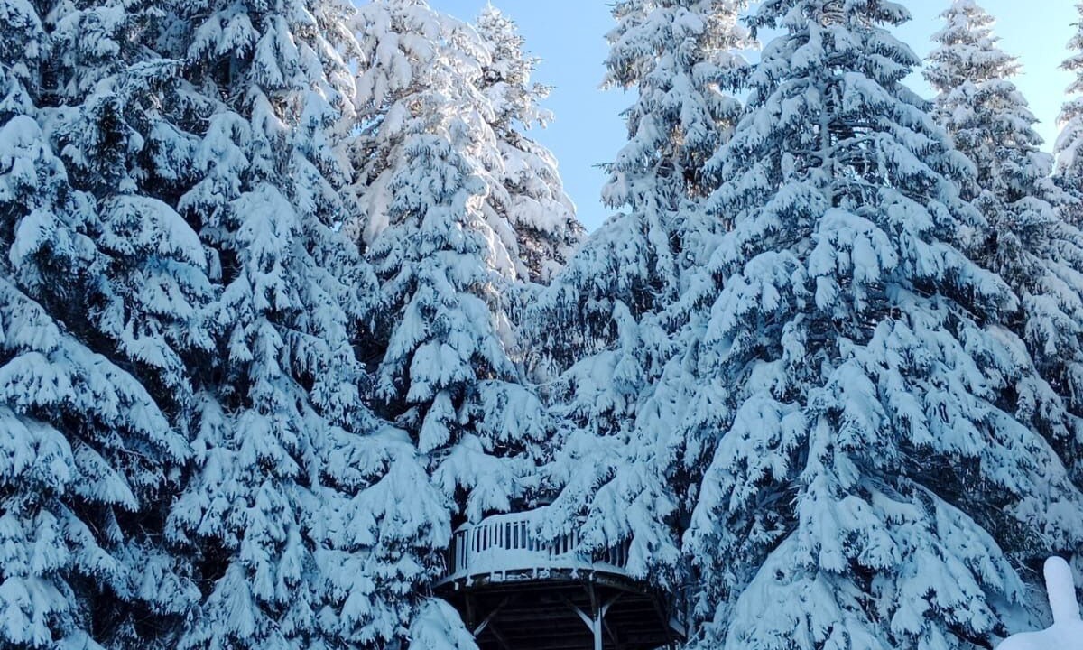Photo of Outdoor in Campan