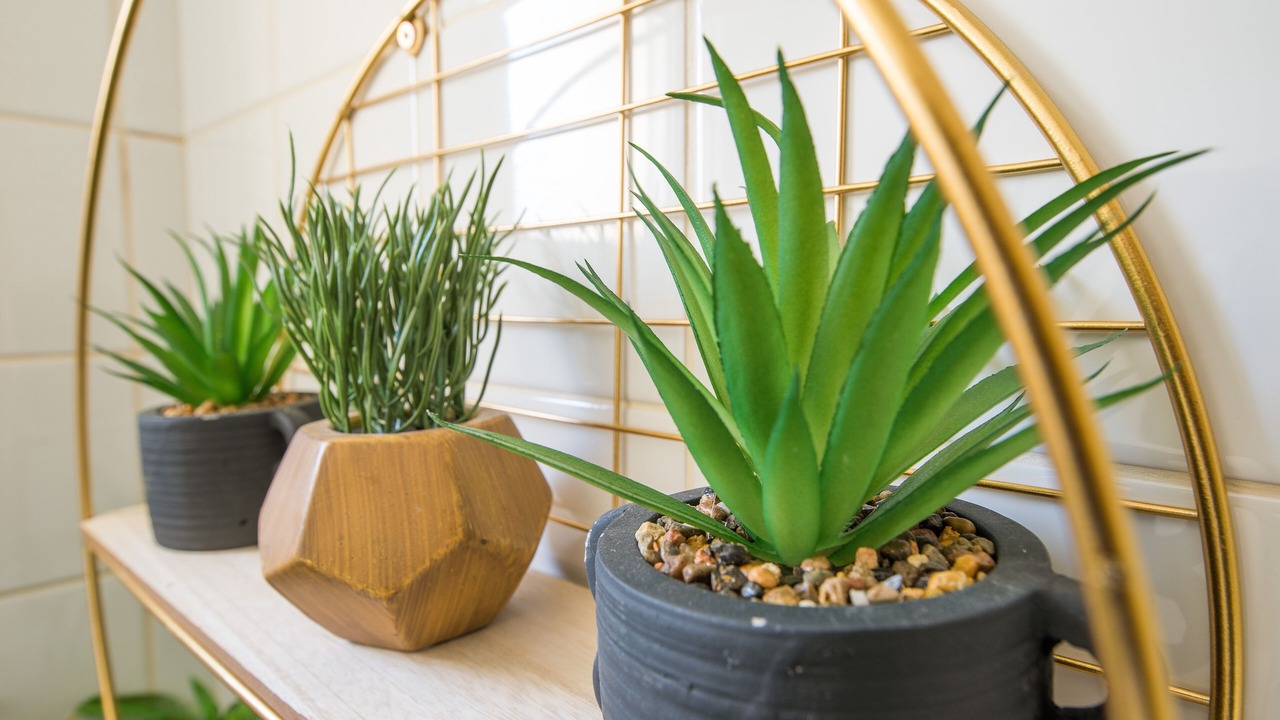 Photo of Others in Loughton