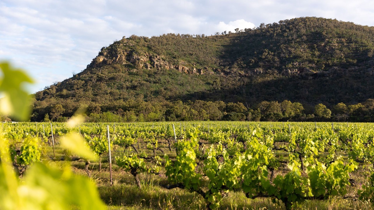 Photo of Others in Fordwich