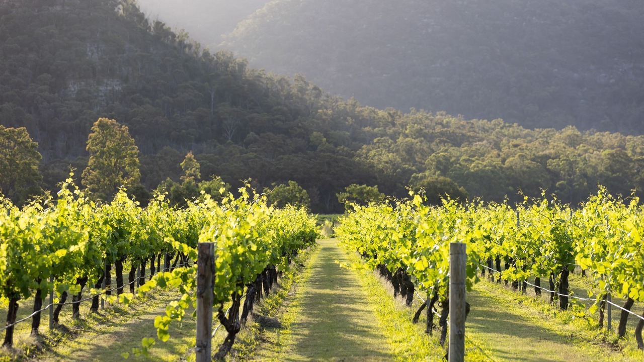 Photo of Outdoor in Fordwich