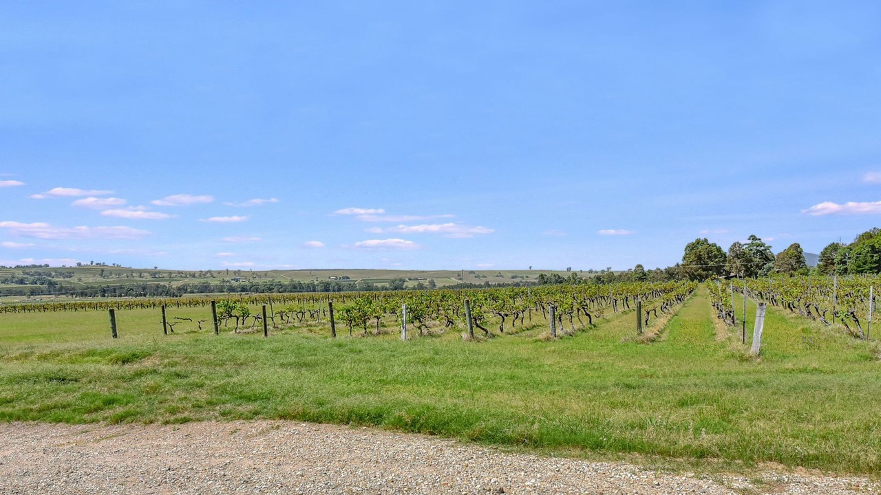 Photo of Others in Fordwich