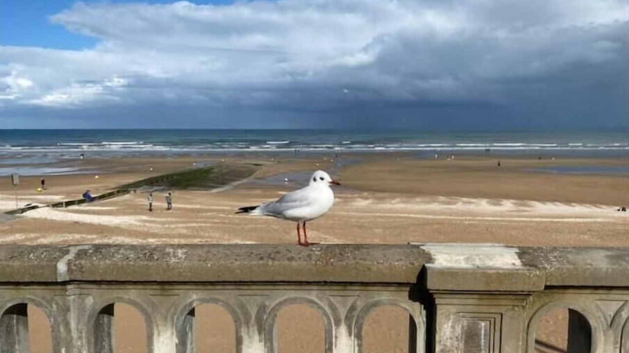 Photo of Outdoor in Cabourg