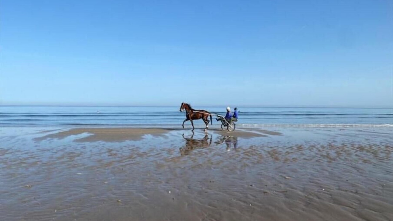 Photo of Others in Cabourg