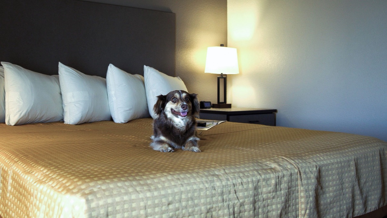 Photo of Others in Moorcroft