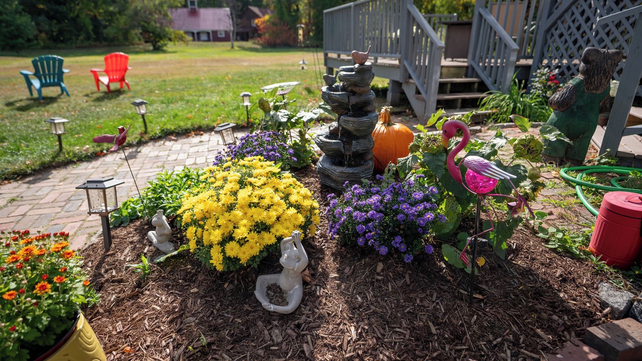 Photo of Outdoor in Fryeburg