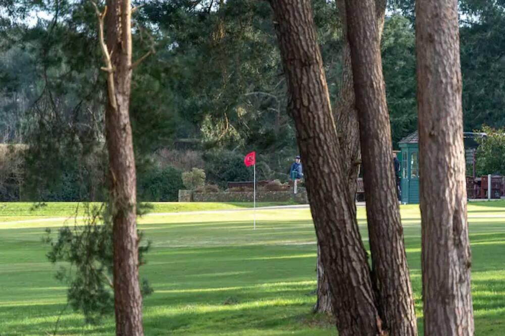 Photo of Others in Ferndown