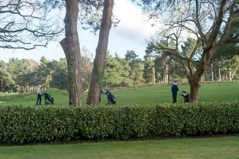 Photo of Others in Ferndown