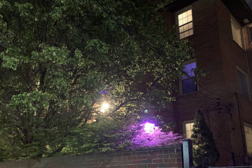 Photo of Outdoor in Lindenwood Park