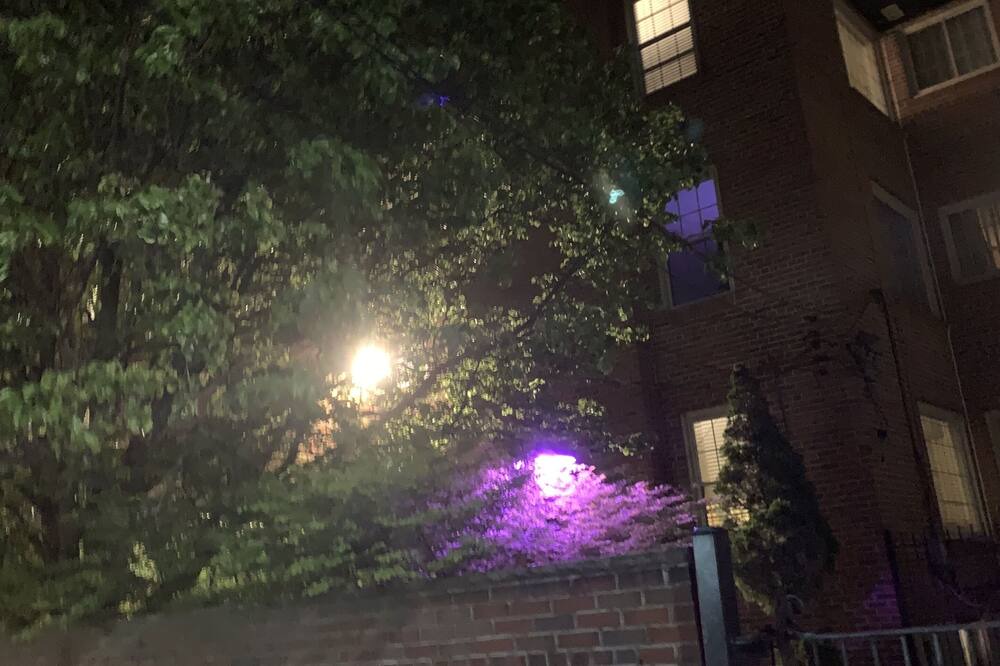 Photo of Outdoor in Lindenwood Park
