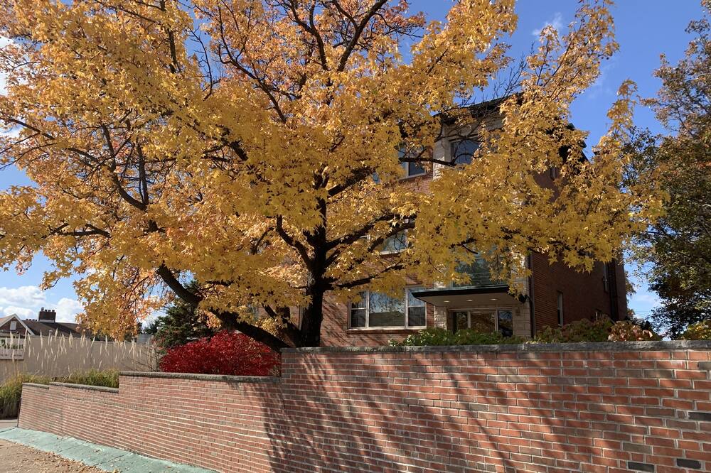 Photo of Outdoor in Lindenwood Park