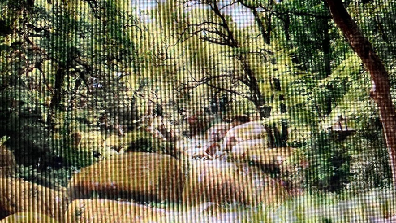 Photo of Outdoor in Poullaouen