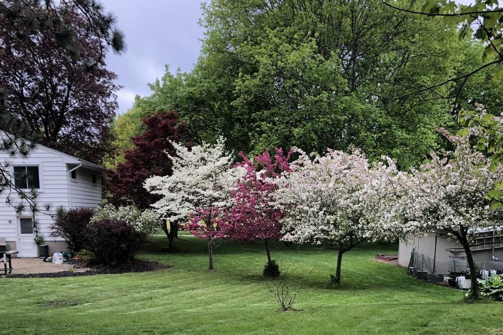Photo of Outdoor in Pittsford