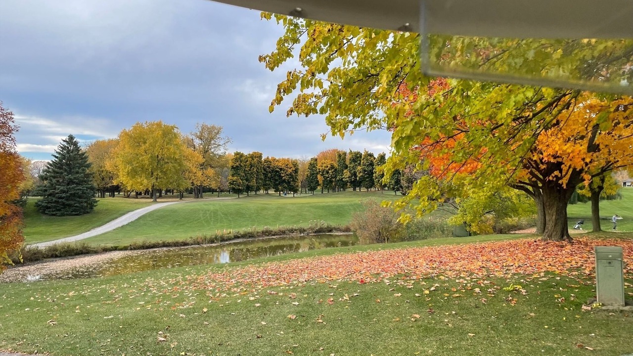 Photo of Outdoor in L'Amoreaux