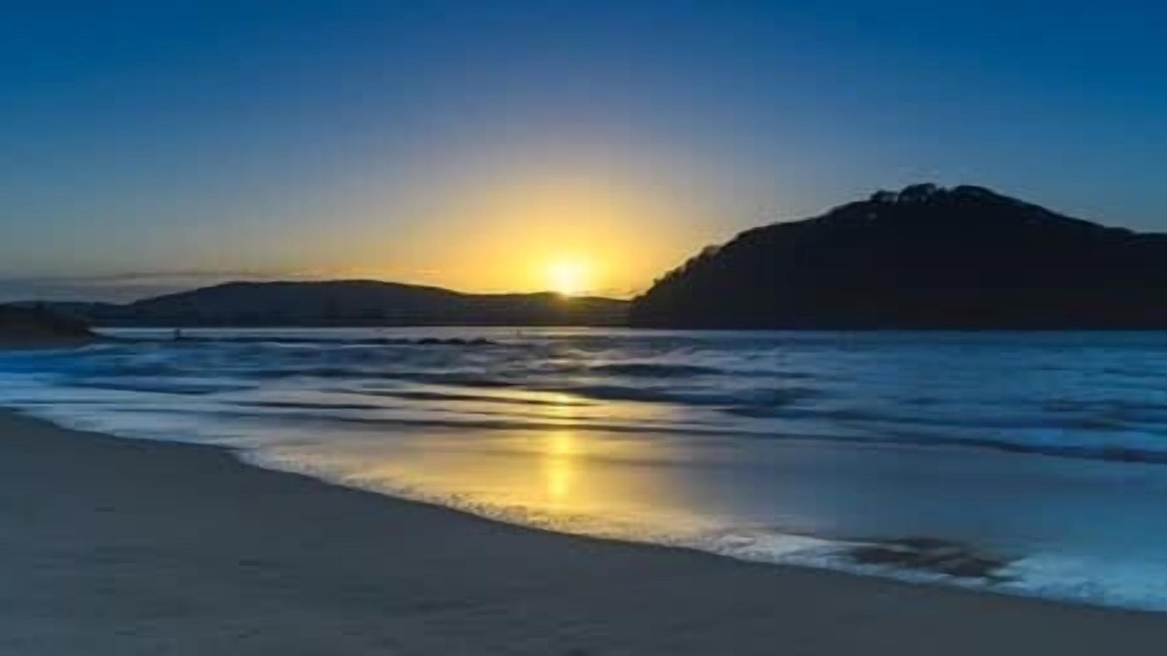 Photo of Others in Woy Woy