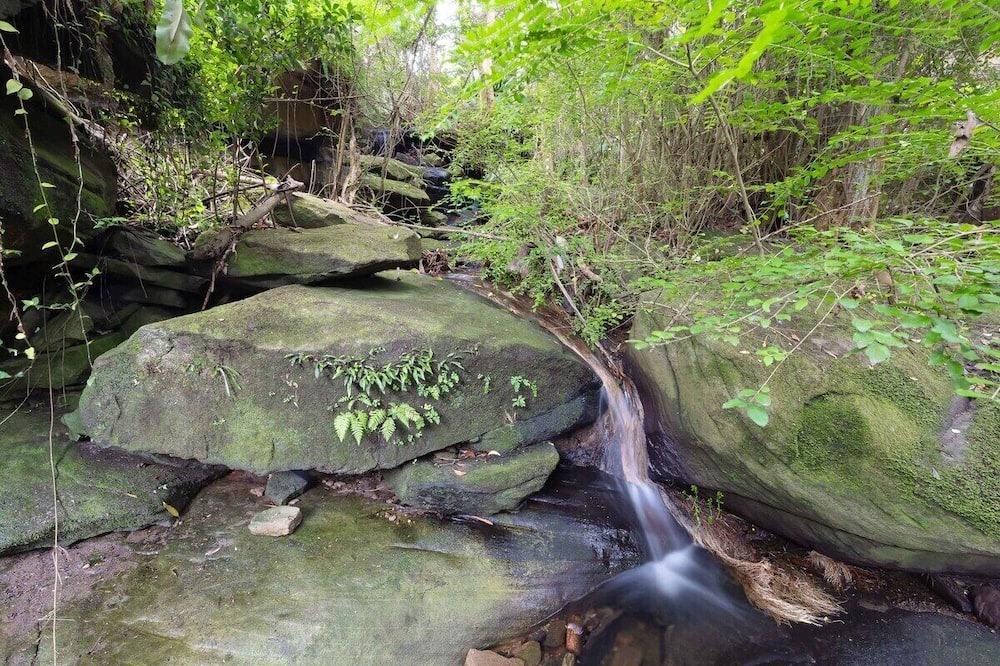 Photo of Others in Sydney