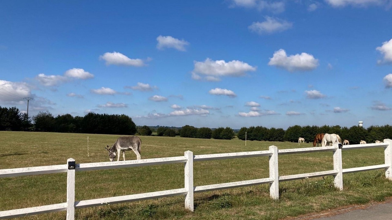 Photo of Others in Dompierre-sur-Helpe