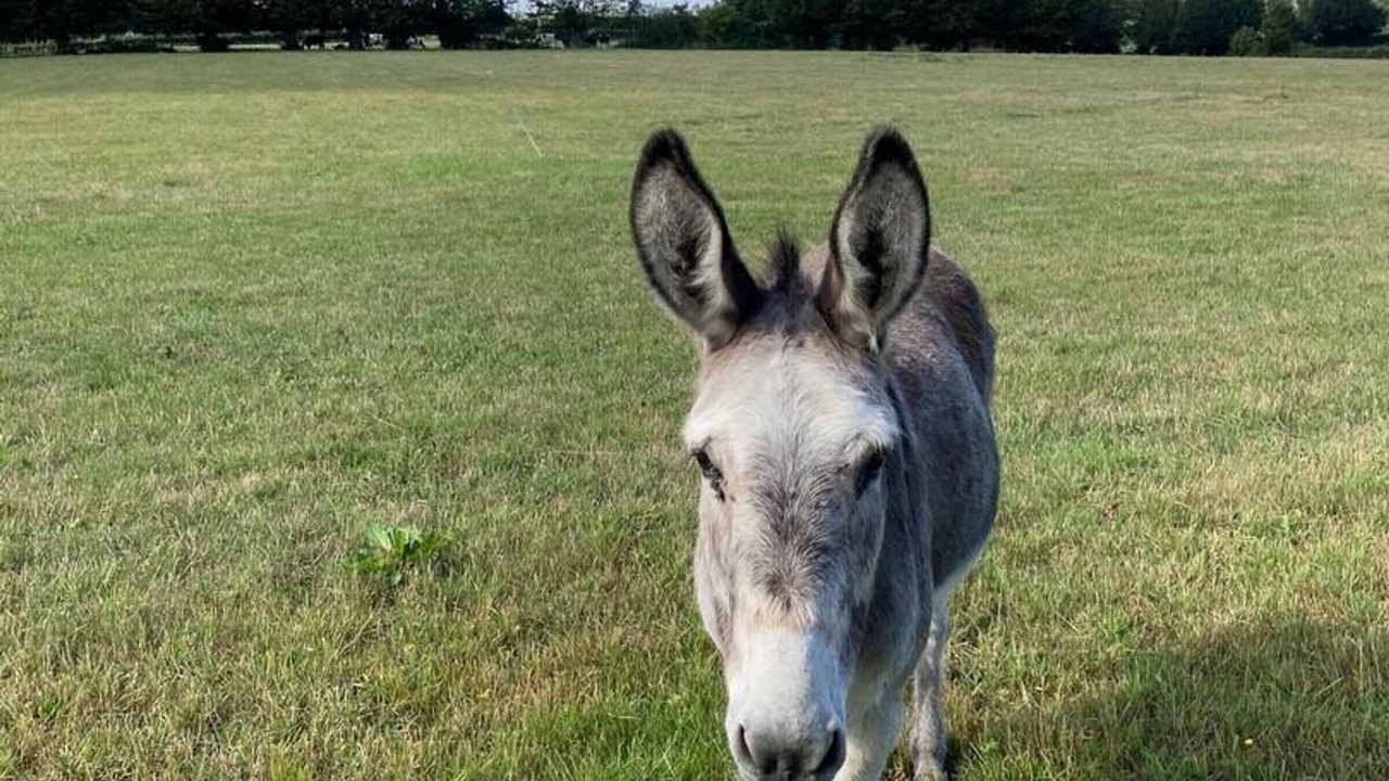 Photo of Others in Dompierre-sur-Helpe