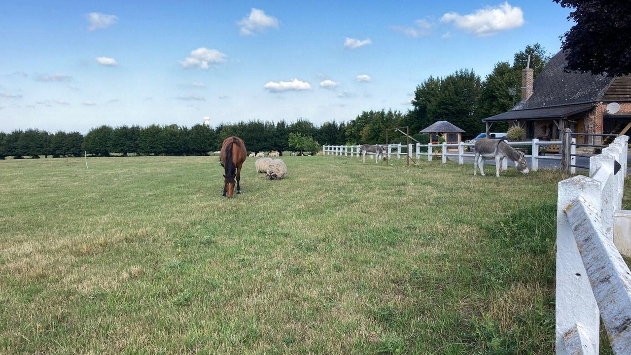 Photo of Outdoor in Dompierre-sur-Helpe