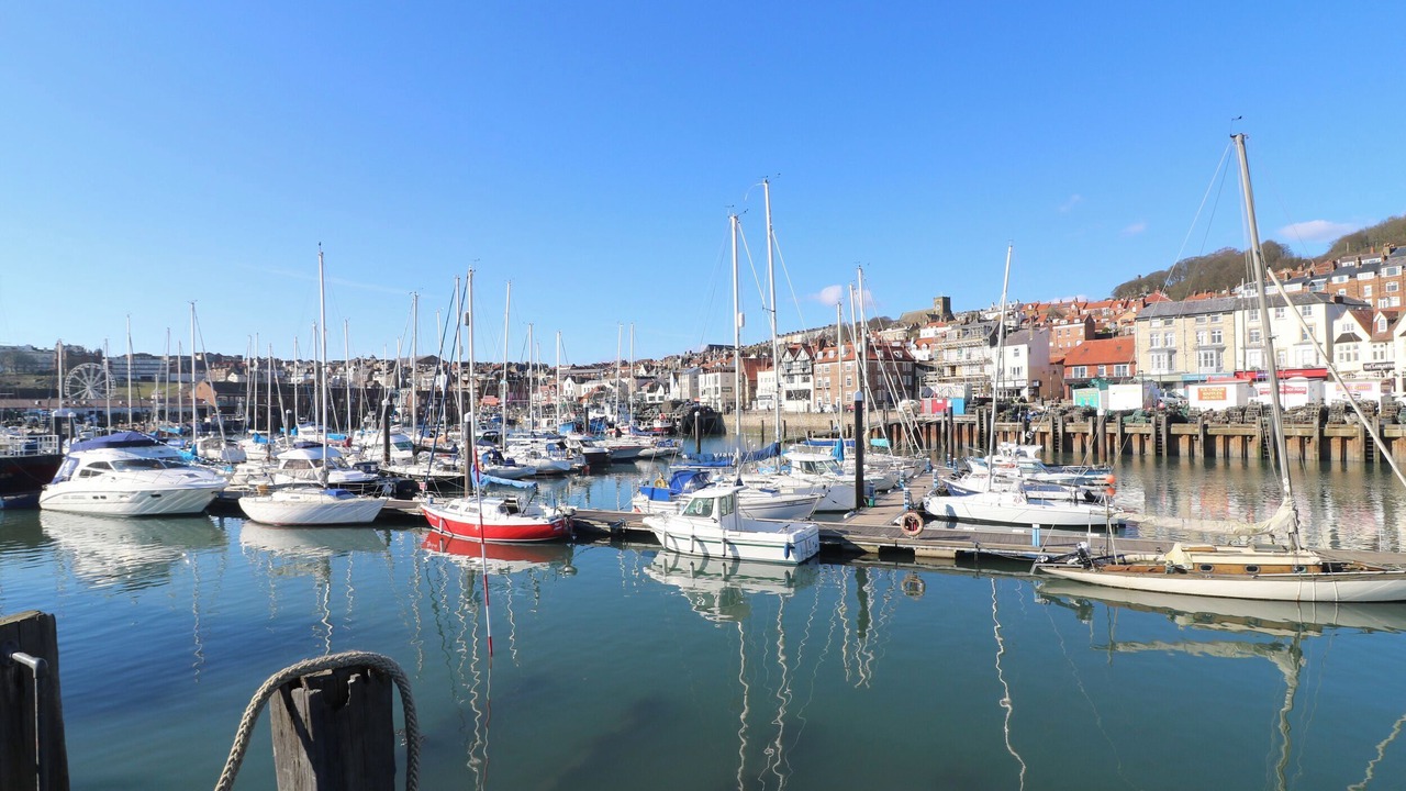 Photo of Others in Cayton Bay