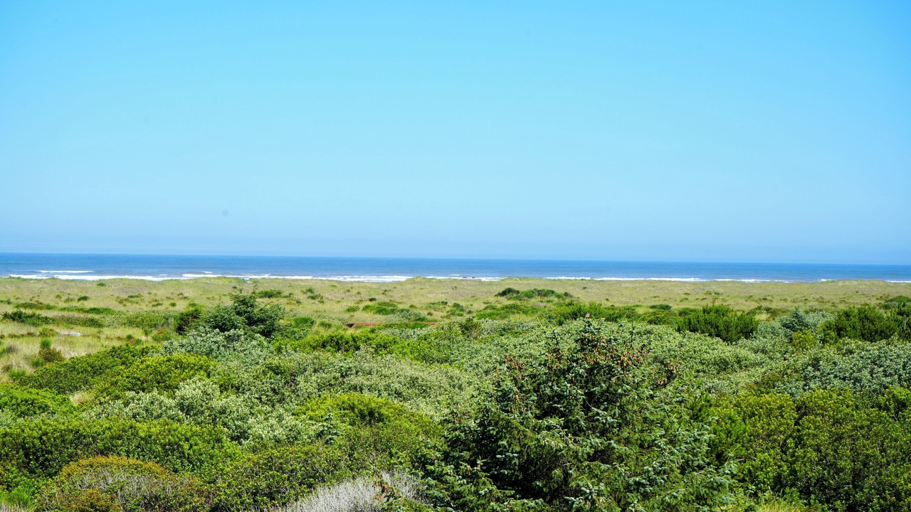 Photo of Patio Balcony in Ocean Shores