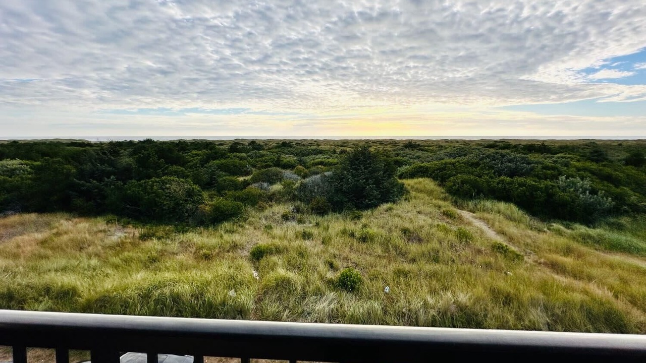 Photo of Others in Ocean Shores