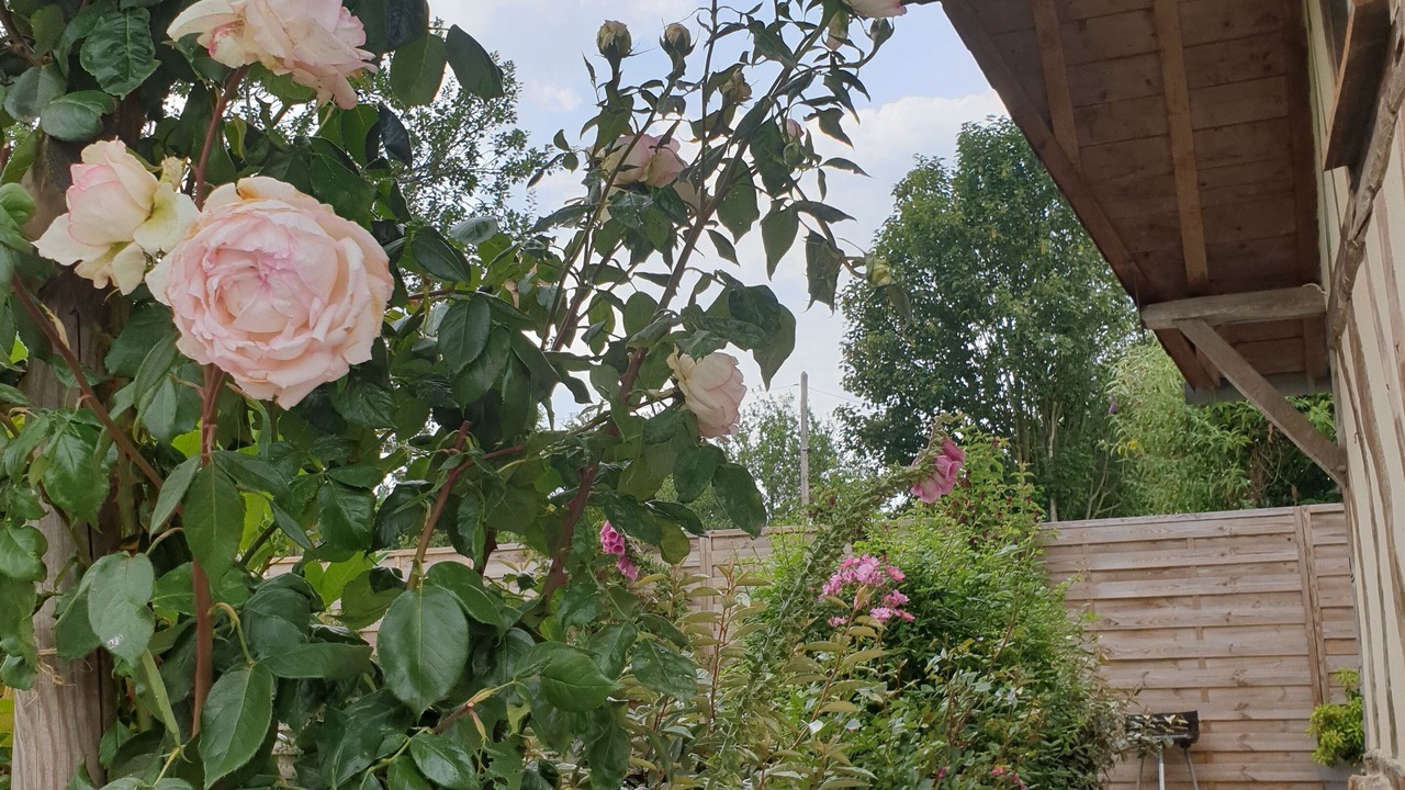 Photo of Outdoor in Conteville