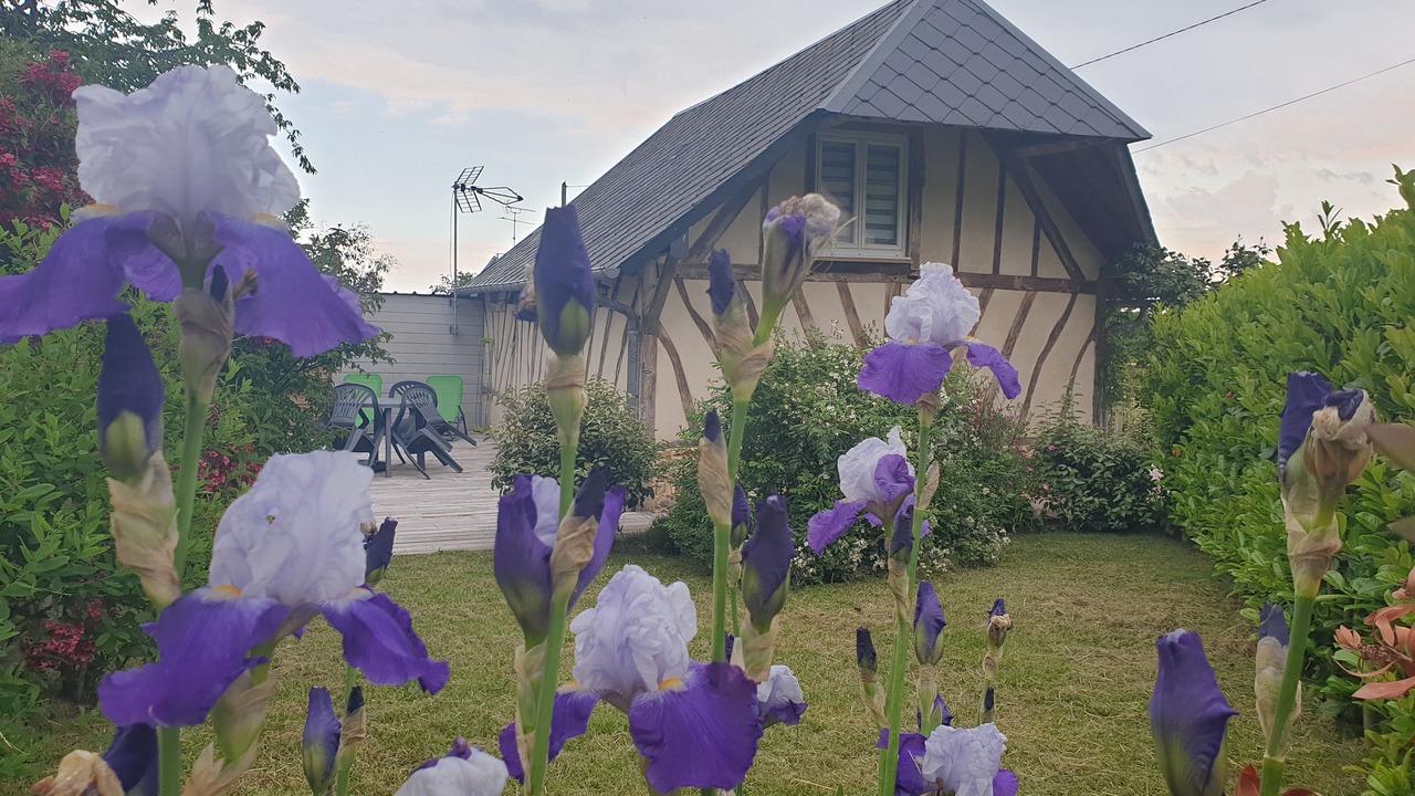 Photo of Outdoor in Conteville