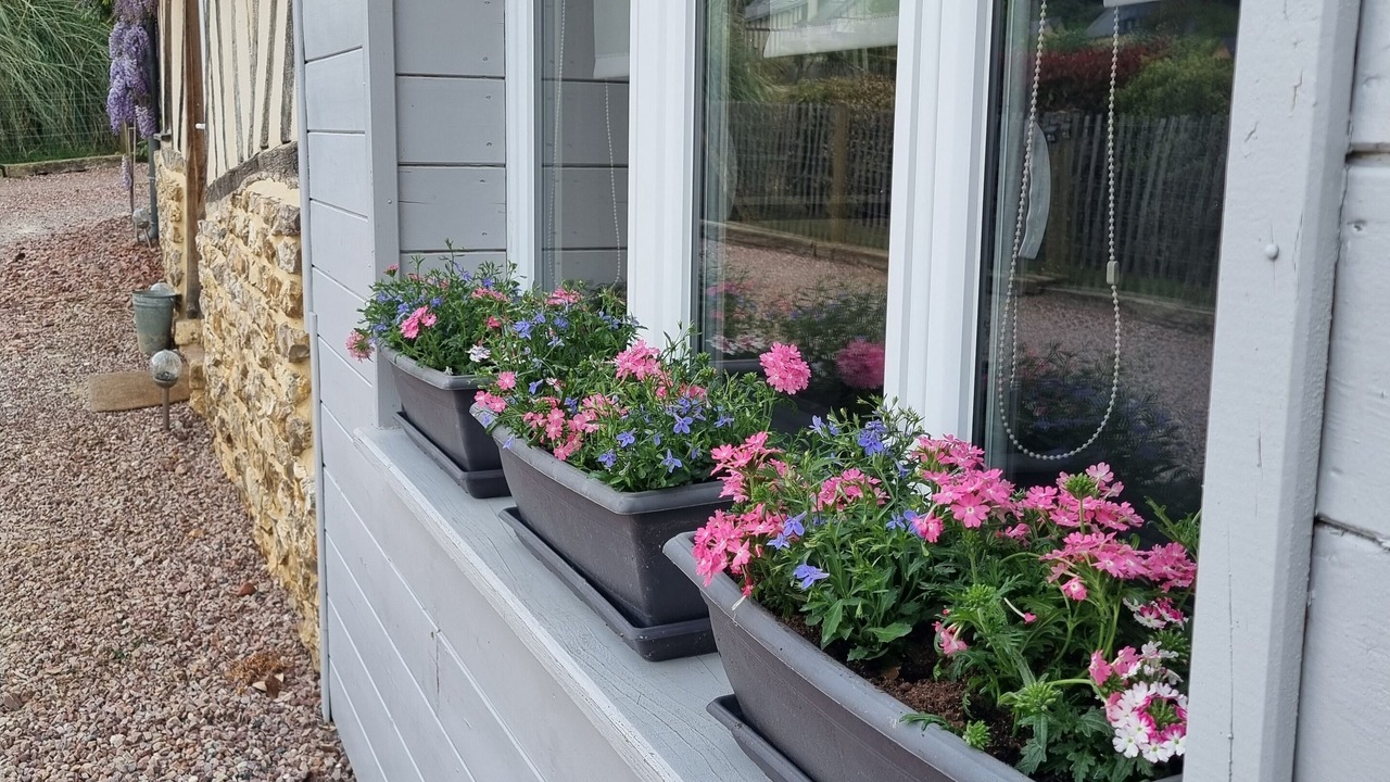 Photo of Outdoor in Conteville