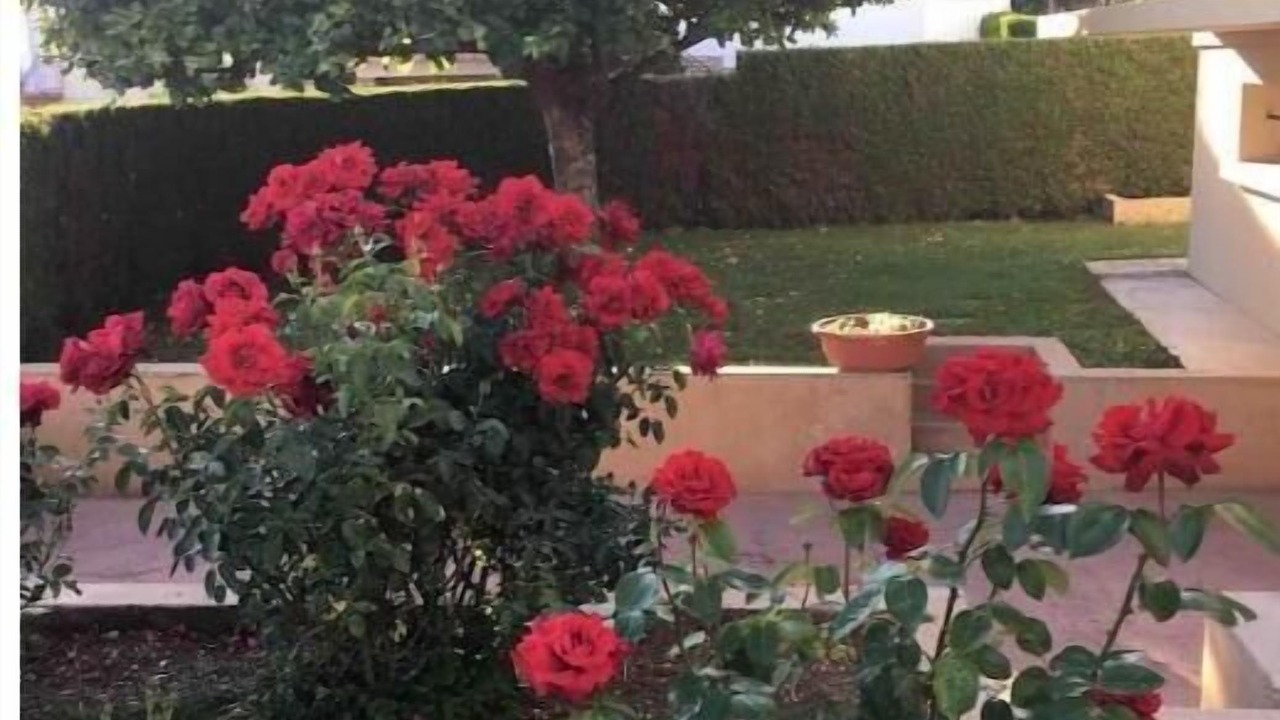 Photo of Outdoor in Bettancourt-la-Ferree