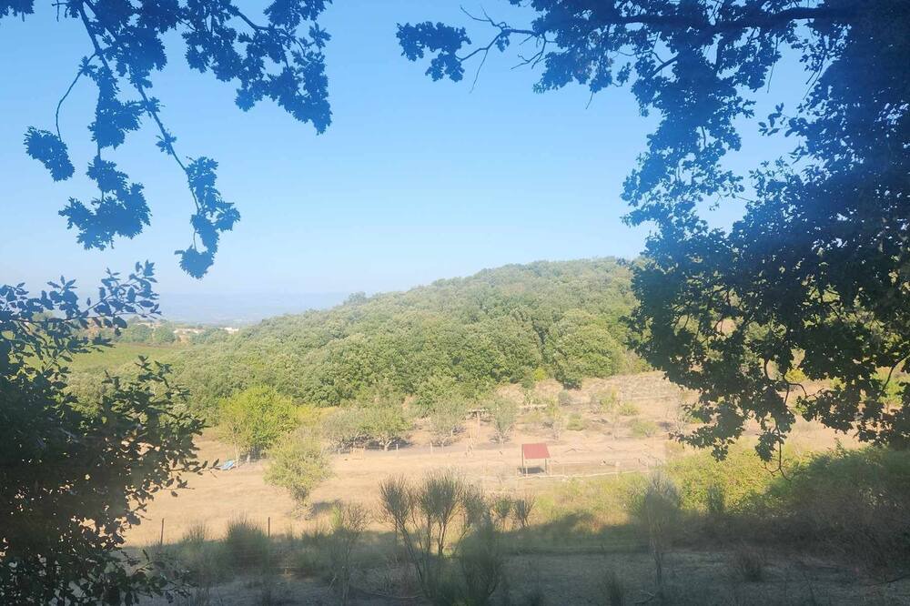 Photo of Others in Alairac