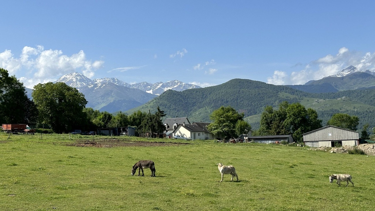 Photo of Outdoor in Bagneres-de-Bigorre
