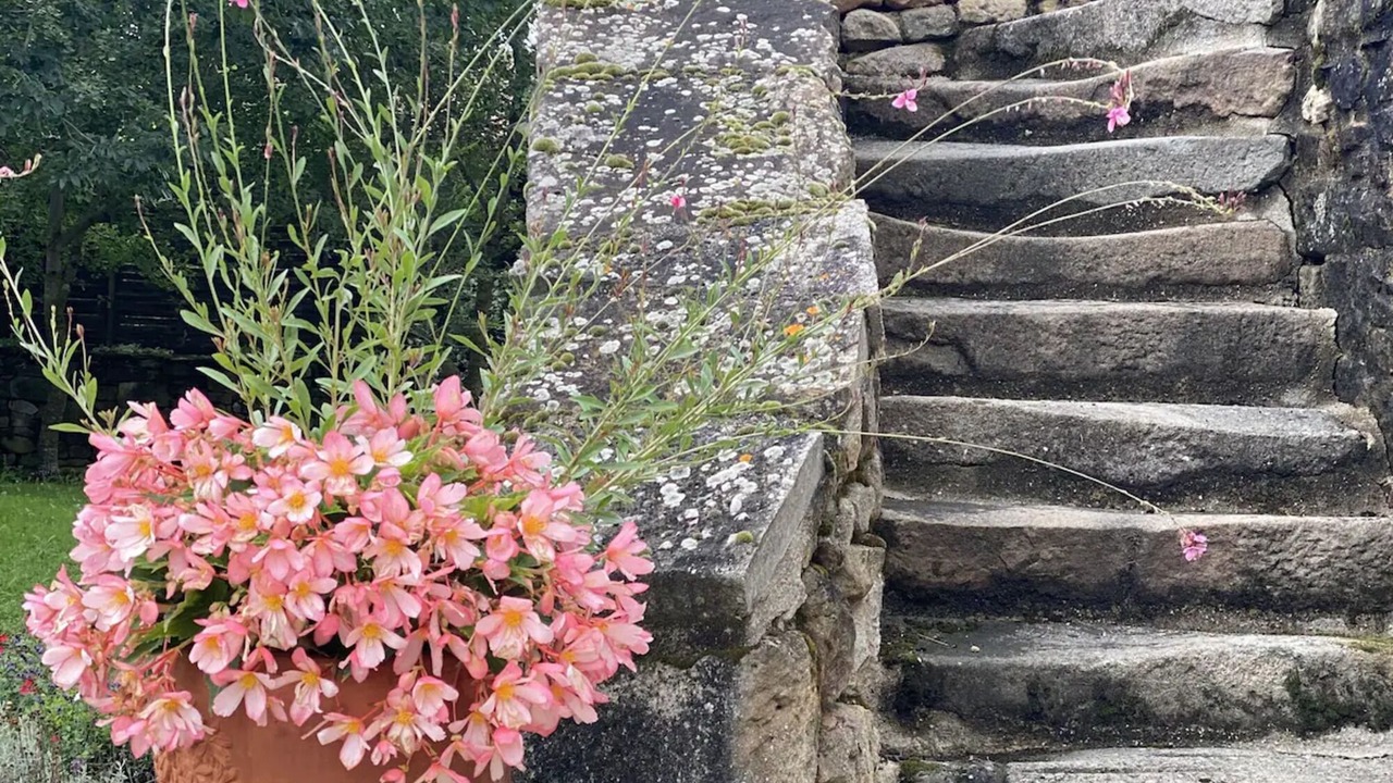 Photo of Outdoor in Lacapelle-Segalar