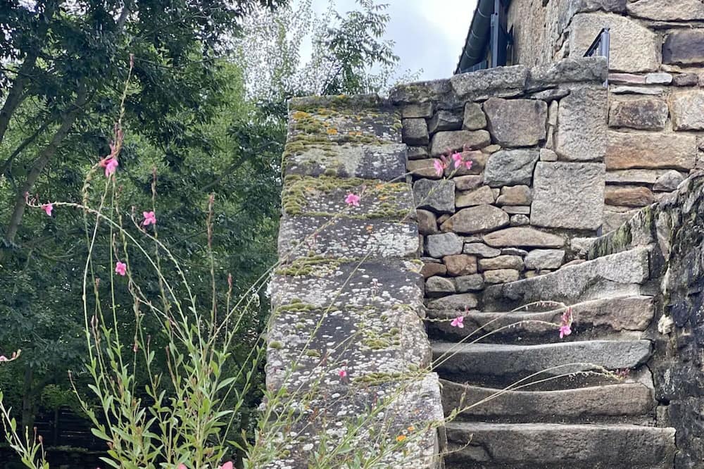 Photo of Outdoor in Lacapelle-Segalar