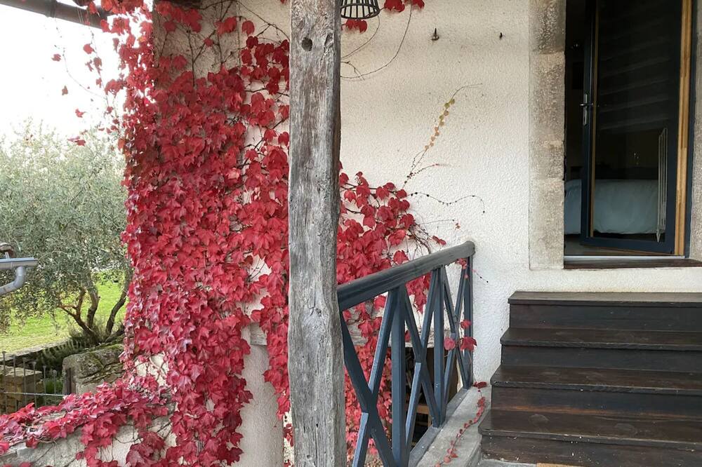 Photo of Outdoor in Lacapelle-Segalar