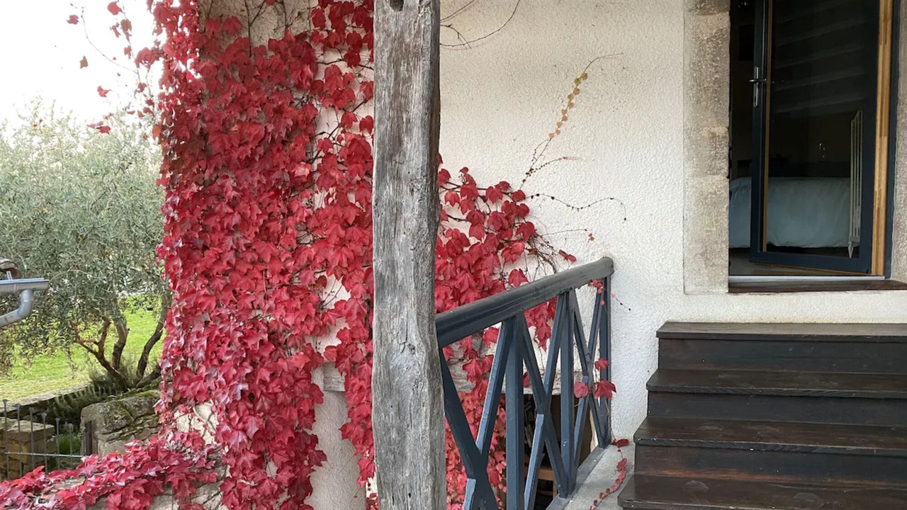 Photo of Outdoor in Lacapelle-Segalar