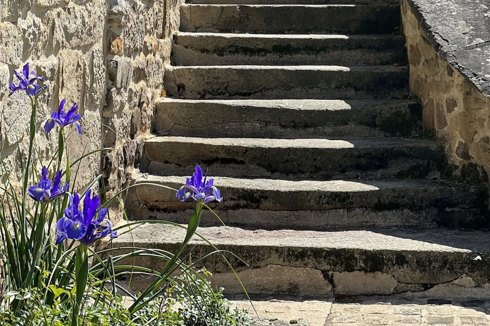 Photo of Outdoor in Lacapelle-Segalar