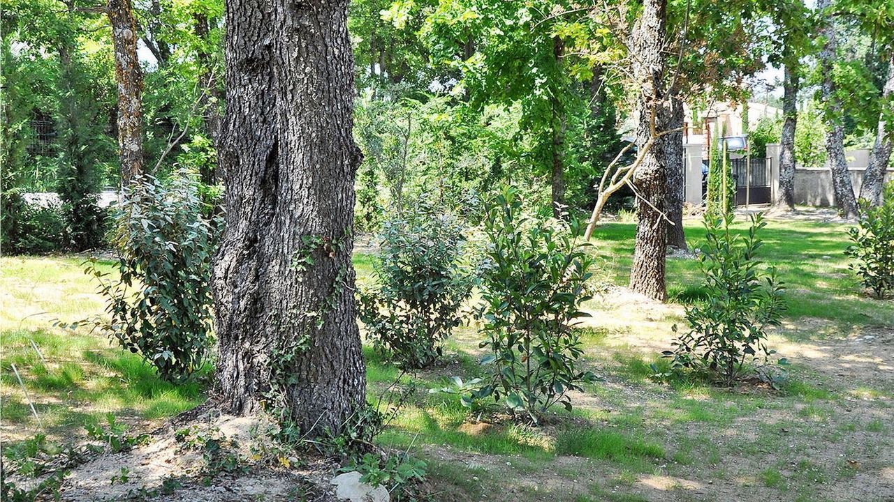 Photo of Outdoor in Lacoste